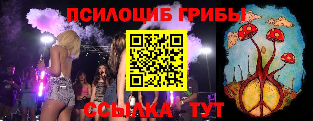 Псилоцибиновые грибы GOLDEN TEACHER Элиста